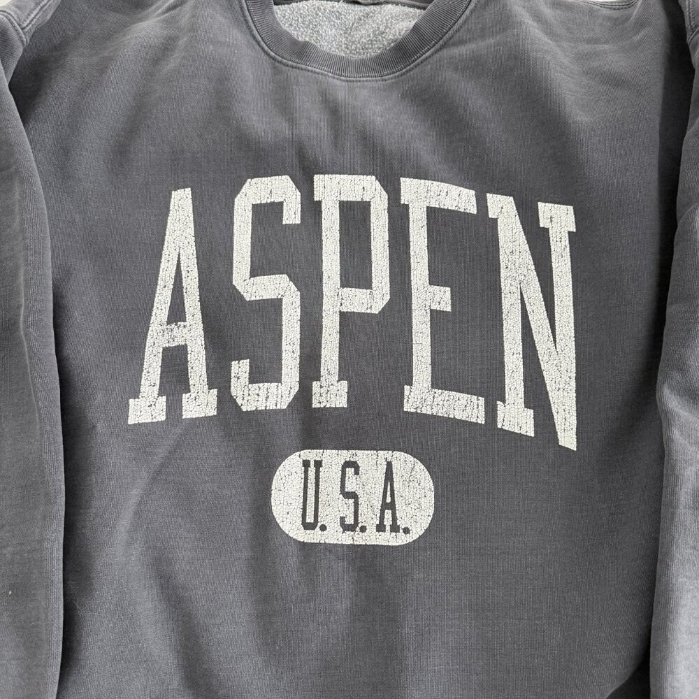 Brandy Melville John Galt Blue Aspen Sweatshirt OS - Picture 5 of 10